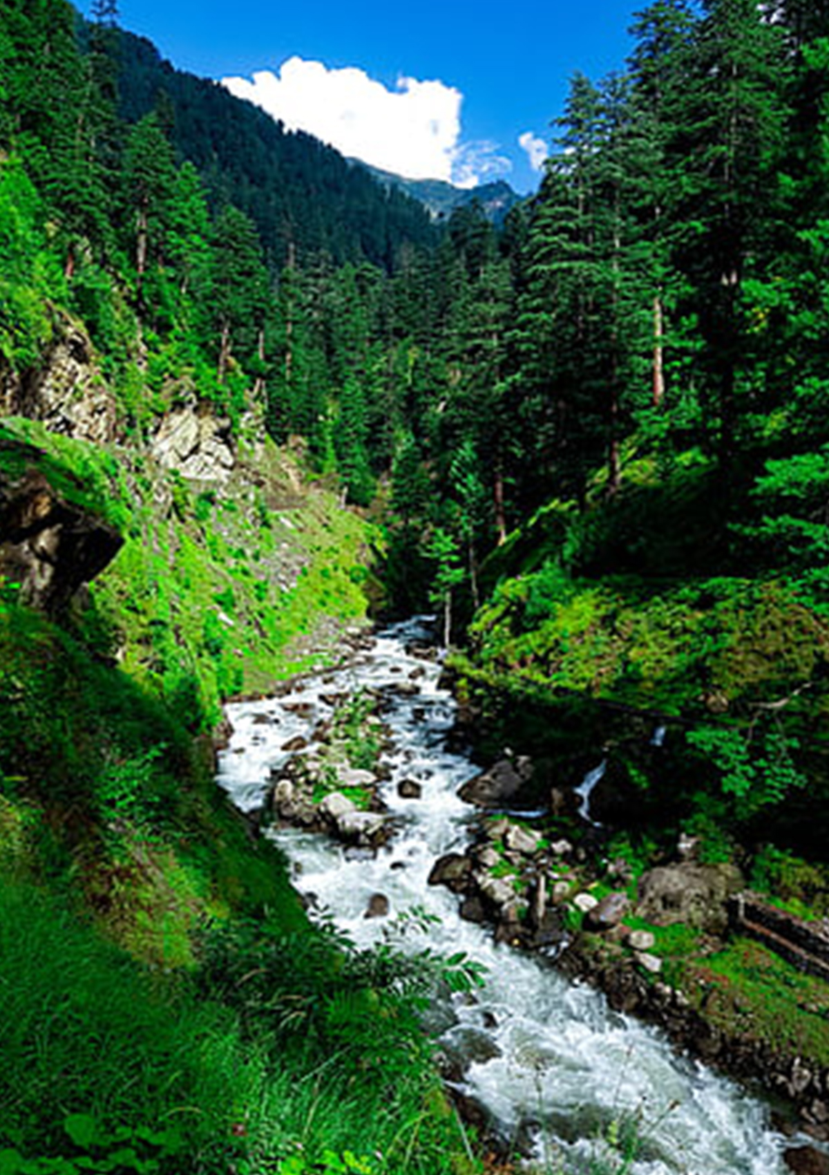 Himachal Tour Operators in Kolkata
                                