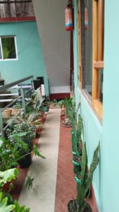 WhatsApp Image 2023-12-23 at 2.14.33 PM