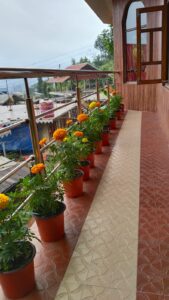 WhatsApp Image 2023-12-23 at 2.14.42 PM