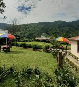 WhatsApp Image 2023-12-23 at 2.15.27 PM