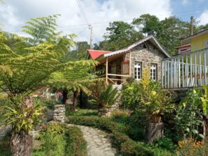 WhatsApp Image 2023-12-23 at 2.15.29 PM